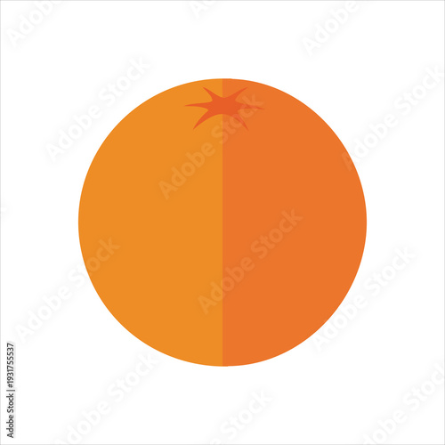 illustration of an orange fruit