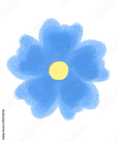 yellow flower on white background