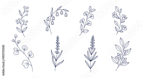 Traditional Chinese Blue and White Decorative Vector Elements with Fans, Lanterns and Blossom Branches.