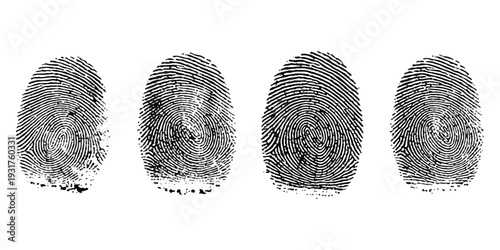Four black fingerprint impressions on a white background, highlighting unique human identification patterns.