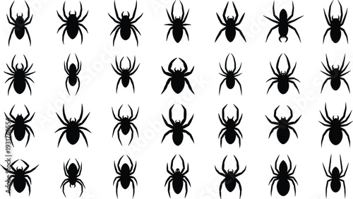 Spider silhouette icon set with different arachnid poses vector illustration