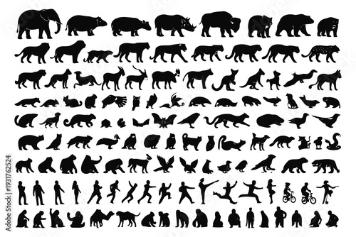 Evolutionary transformation of a walking bear into various animals and humans