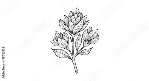 White Floral Leafy Illustration on Black Background Minimalist Botanical Design