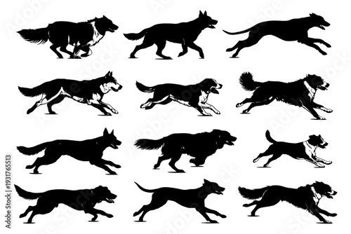 Adobe Illustrator Artwork