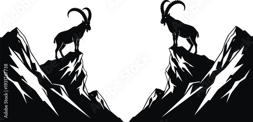 Black silhouette of two mountain ibex with large horns standing on rocky peaks, wild alpine goats on steep mountain cliffs,