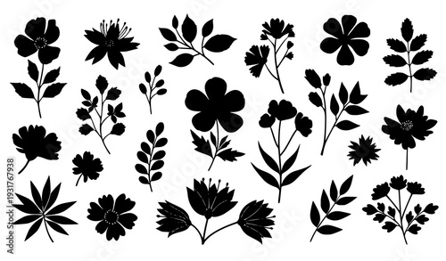 Black and white floral silhouette vector set with botanical elements