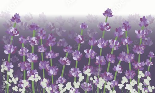 Picture depicting lavender branches and white flowers in the foreground