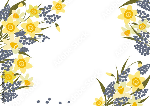 Picture of daffodils and blue flowers on a white background
