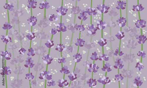Seamless pattern of lavender flowerson on a violet background