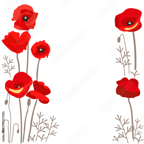 red poppies border