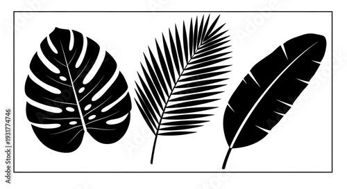 Tropical leaves arranged horizontally in a minimalist illustration on a clean white background from a direct viewpoint Whisk eps file
