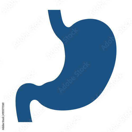 Blue stomach symbol isolated on a clean white background minimalist design organ illustration for medical and health concepts