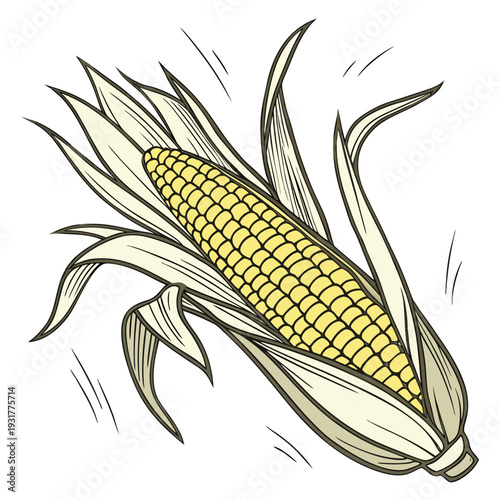 Partially shucked yellow maize ear with exposed kernels 1