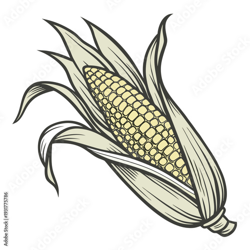 Corn ear with partially peeled back organic husk and exposed kernels