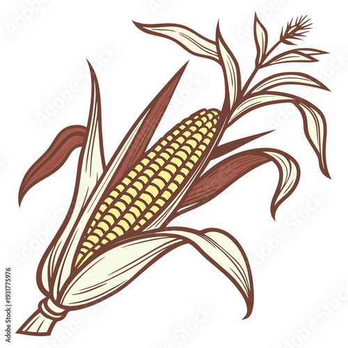 Corn ear with husk and leaves in warm earthy tones