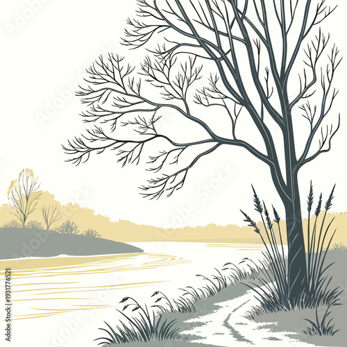 Frozen lakeside with bare tree and delicate frost winter landscape