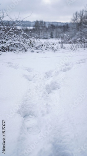 A fresh, soft snow covers the ground, with footprints leading toward a distant forest, creating a sense of tranquility.