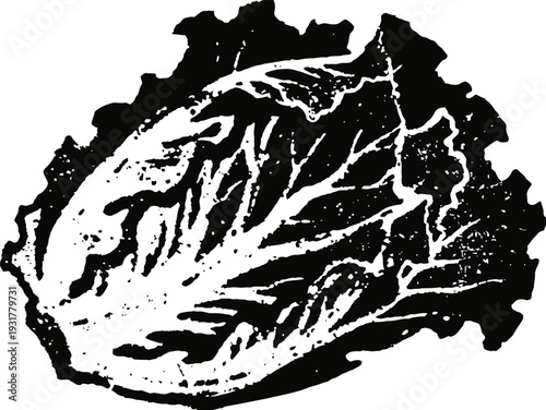 Single lettuce leaf illustration with detailed texture and leafy edges in black and white