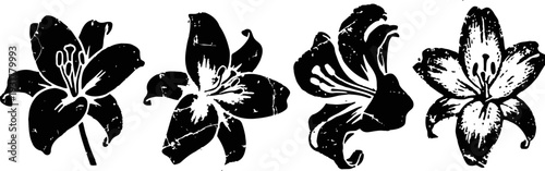 grunge floral silhouettes set of four stylized lilies with textured distressed effect
