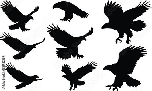 Eagle bird silhouettes collection, flying and landing poses, isolated black raptor shapes for wildlife design illustration set