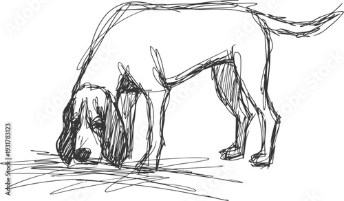 Sketch of a dog sniffing ground with floppy ears and detailed legs drawn in black lines