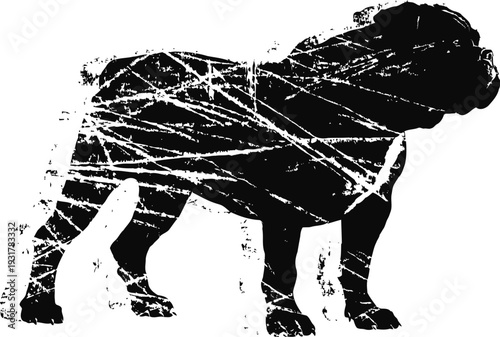 Black bulldog silhouette with grunge scratches texture strong breed profile, tough and muscular dog illustration
