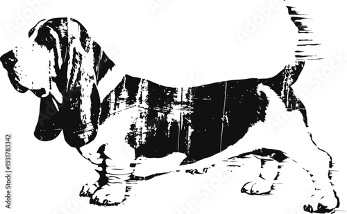 Black and white basset hound silhouette with long ears and short legs standing sideways