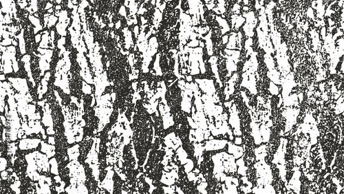 Black and white tree bark texture pattern with rough natural cracks and vertical lines