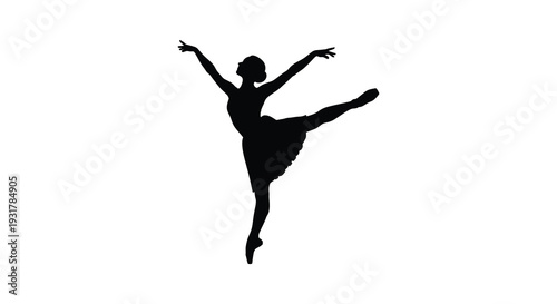 A graceful ballerina leaps dynamically captured in a striking black form against a white backdrop silhouette high quality professional detailed modern