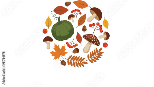 Circular collage of various autumn elements such as colorful leaves, mushrooms, a pumpkin, and acorns on white.