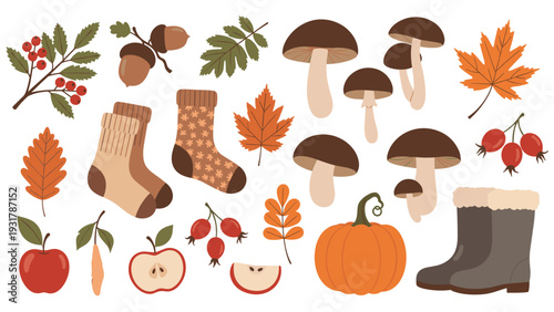 Assortment of autumn themed icons includes mushrooms, colorful fall leaves, acorns, red apples, warm socks, and rubber boots.