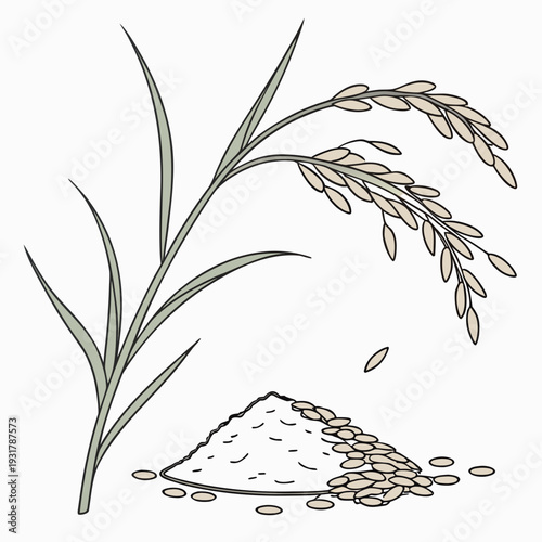 Rice plant with grain mound and scattered grains rice grains