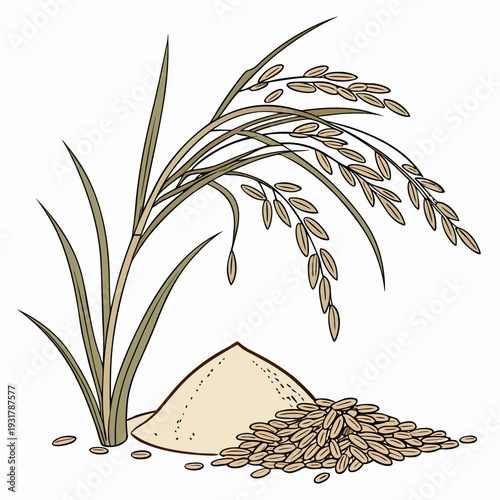 Rice plant with grain mound and scattered grains rice grains 1