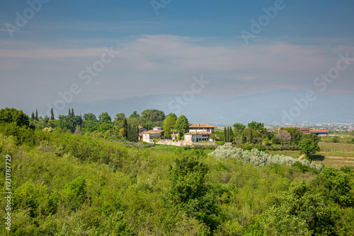 Wallpaper Mural Panoramic View of an Italian Countryside Estate and Vineyards Torontodigital.ca