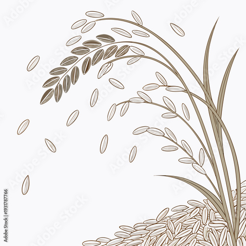 Rice grains forming gentle slope with stalks and rice stalks
