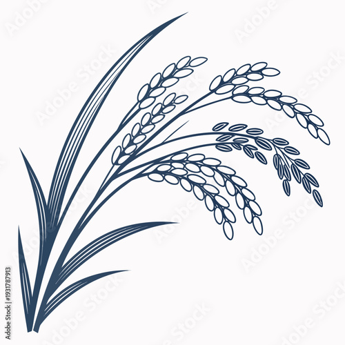 Dark blue rice plant with grains and leaves on white background