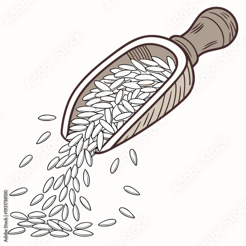 Uncooked white rice flowing from wooden scoop rice grains