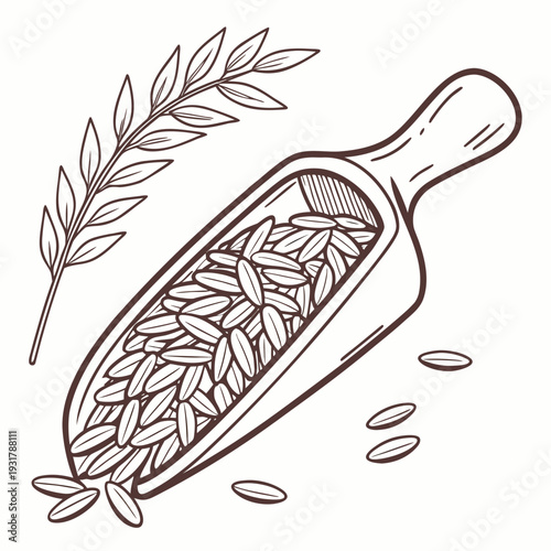 Wooden scoop filled with uncooked rice grains and olive branch