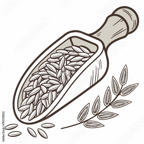 Wooden scoop filled with uncooked rice grains and plant