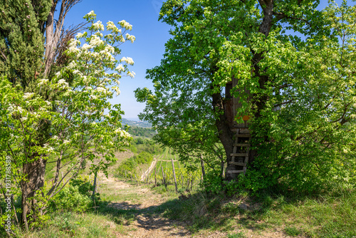 Wallpaper Mural Rustic Wooden Treehouse Nestled in Lush Green Spring Foliage Torontodigital.ca