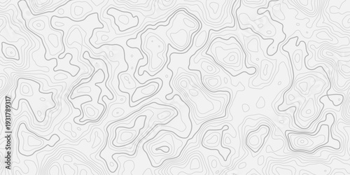 Detailed Topographic Contour Line Map with Abstract Mountain Relief Texture
Seamless Minimal Geographic Pattern Background