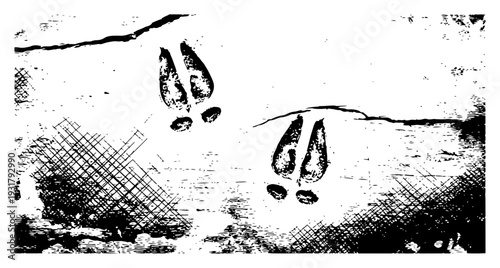 Close up view of wild animal hoof prints in the mud in a hand drawn vintage ink style
