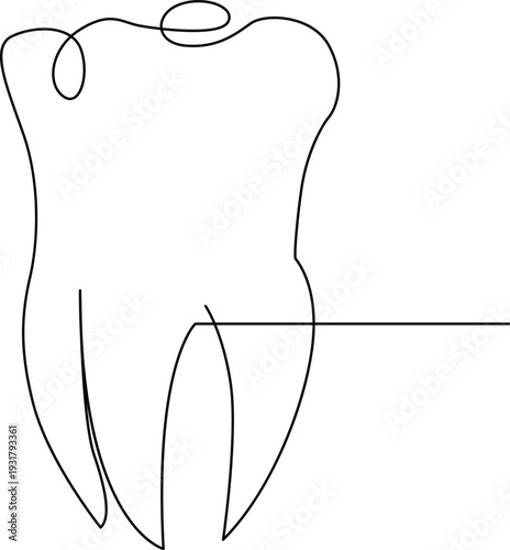 Detailed illustration of a molar tooth with roots and a horizontal line Vector