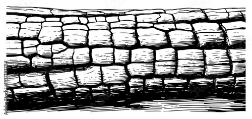 Detailed hand drawn texture of rough tree bark or reptile skin scales in vintage engraving style