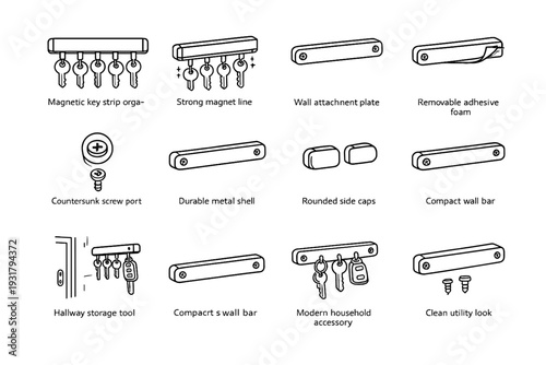 Shell line durable holder look icon vector screw key caps wall magnetic