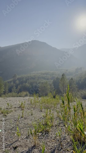 Precioso lugar donde desconectar en el Lago Pozo de la Mortera en torrechiva