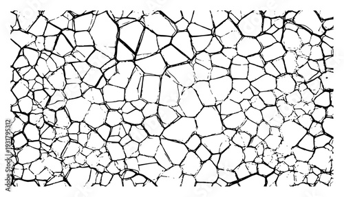 Hand drawn texture of cracked dry earth or a cellular network pattern