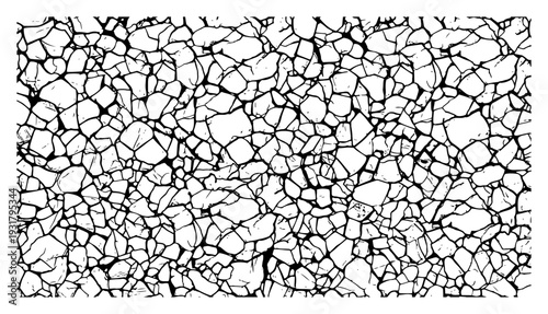 Dense intricate pattern of cracked mud and parched ground in engraving style
