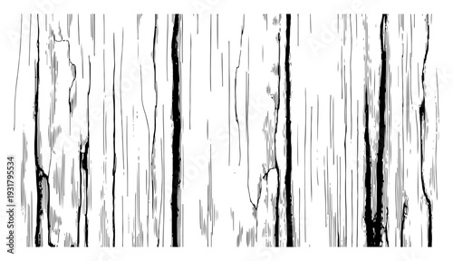 Detailed hand drawn wood grain texture with vertical cracks and vintage engraving lines