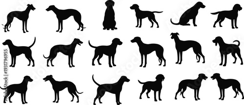 Collection of dog silhouettes in different standing and sitting poses isolated on white background, domestic animal set